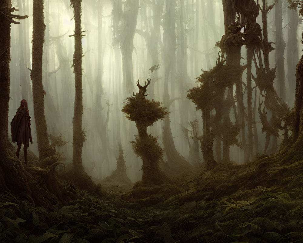 Mystical forest scene with cloaked figure among towering trees