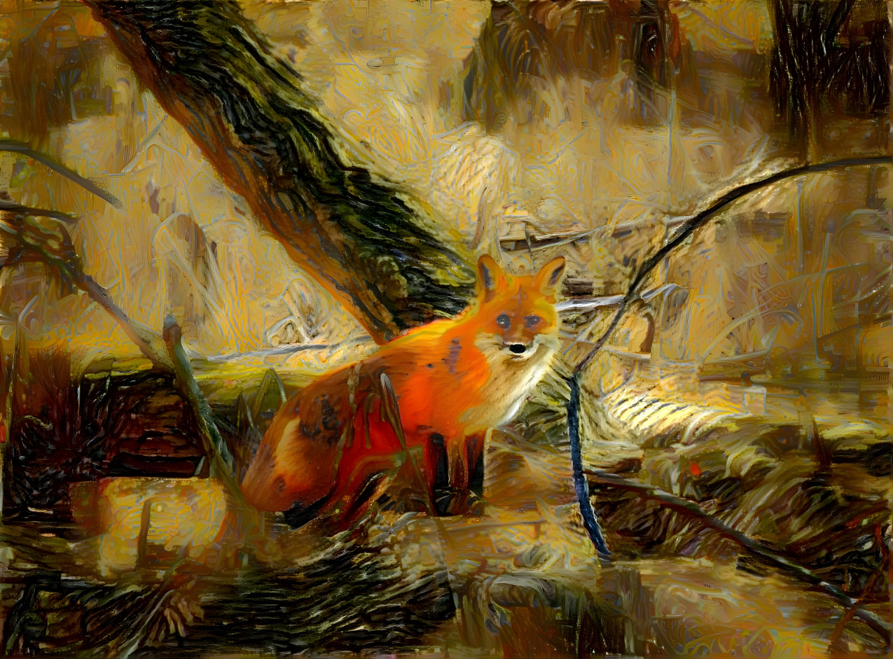 Fox