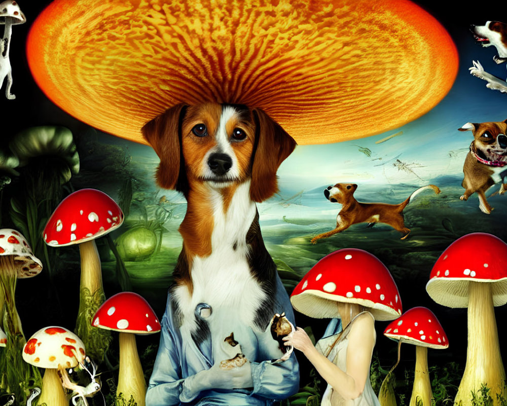 Whimsical montage featuring large dog with mushroom cap, smaller dogs, mushrooms, pastoral background, and