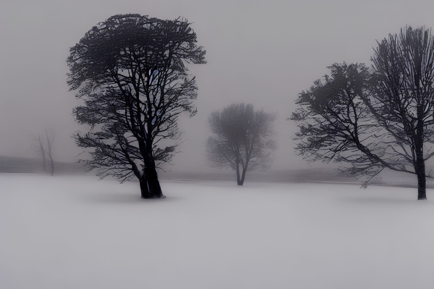 Snowy landscape with bare trees in foggy winter scene