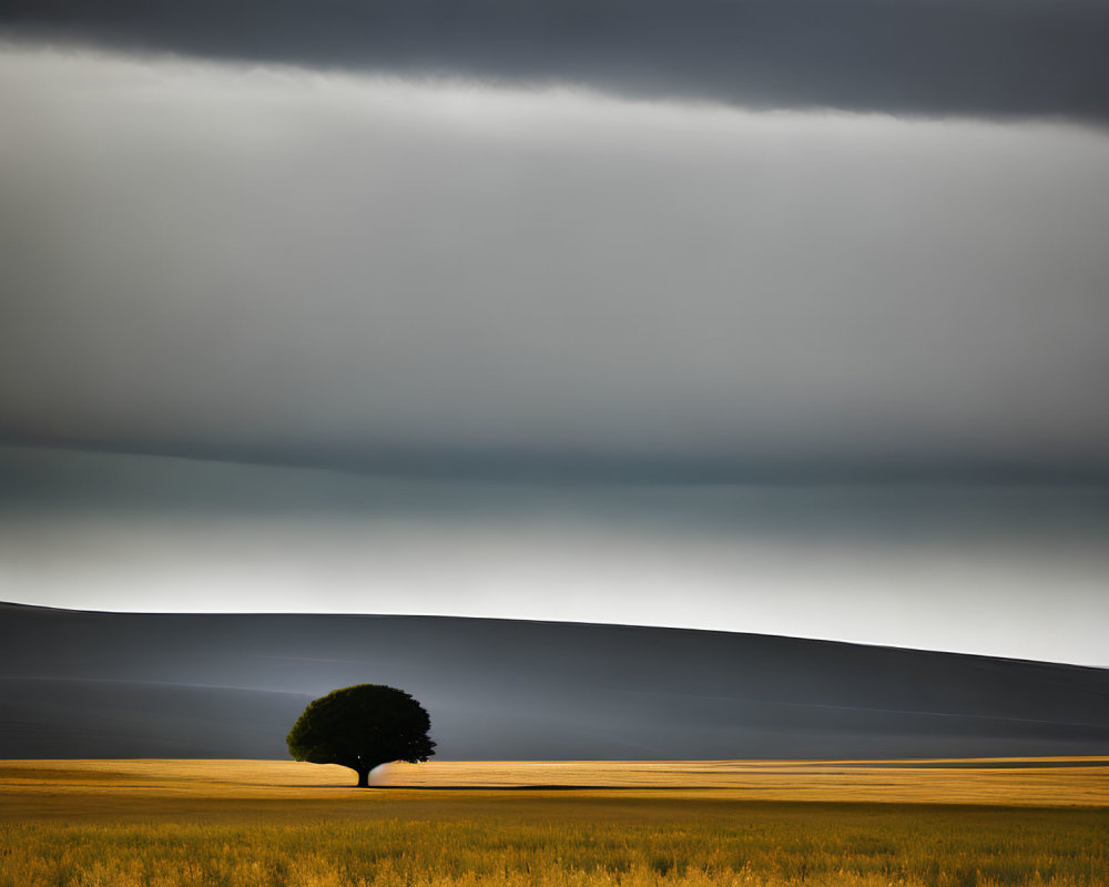 Solitary Tree in Golden Field Under Dramatic Sky