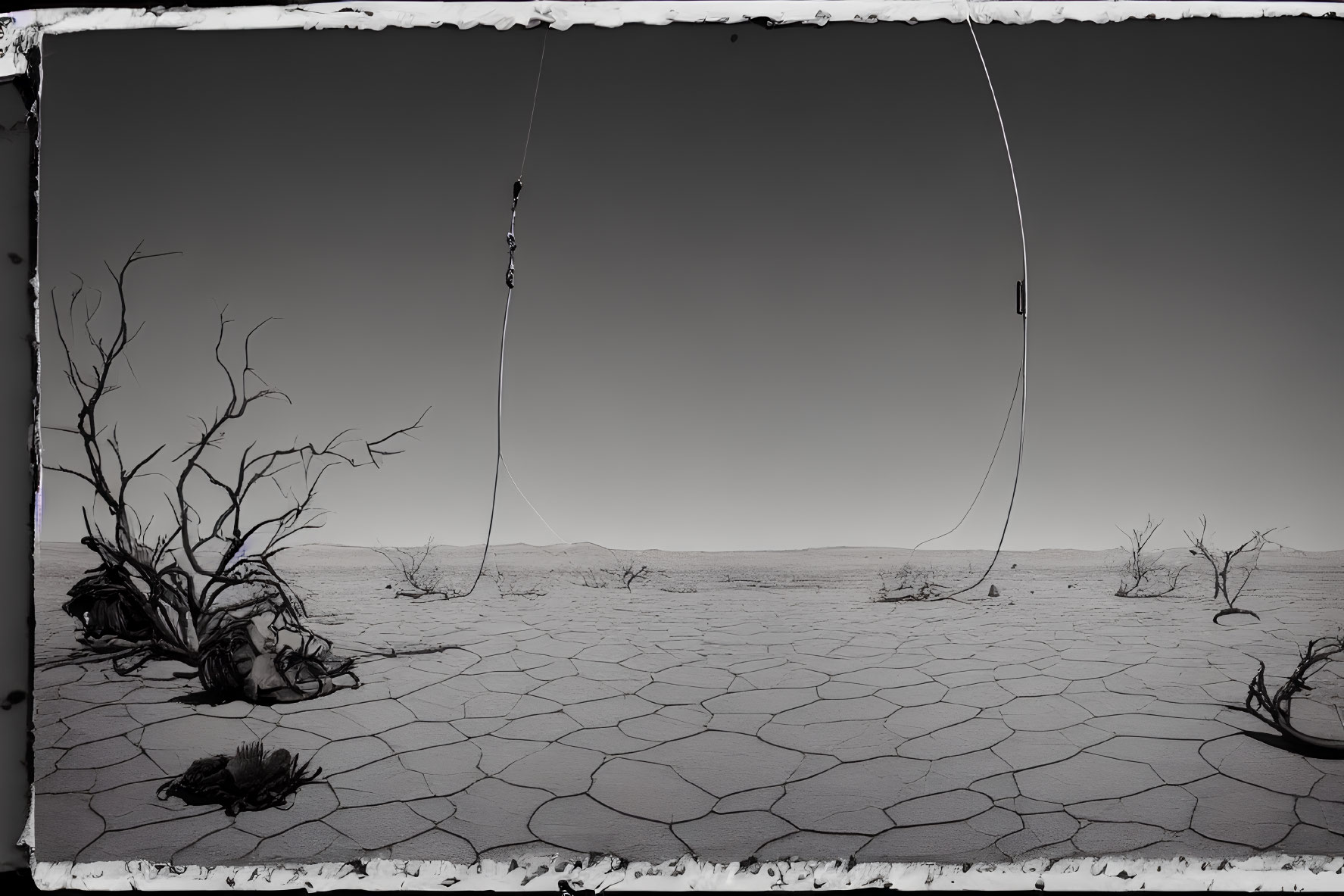 Desolate landscape with cracked ground and dead vegetation under bleak sky