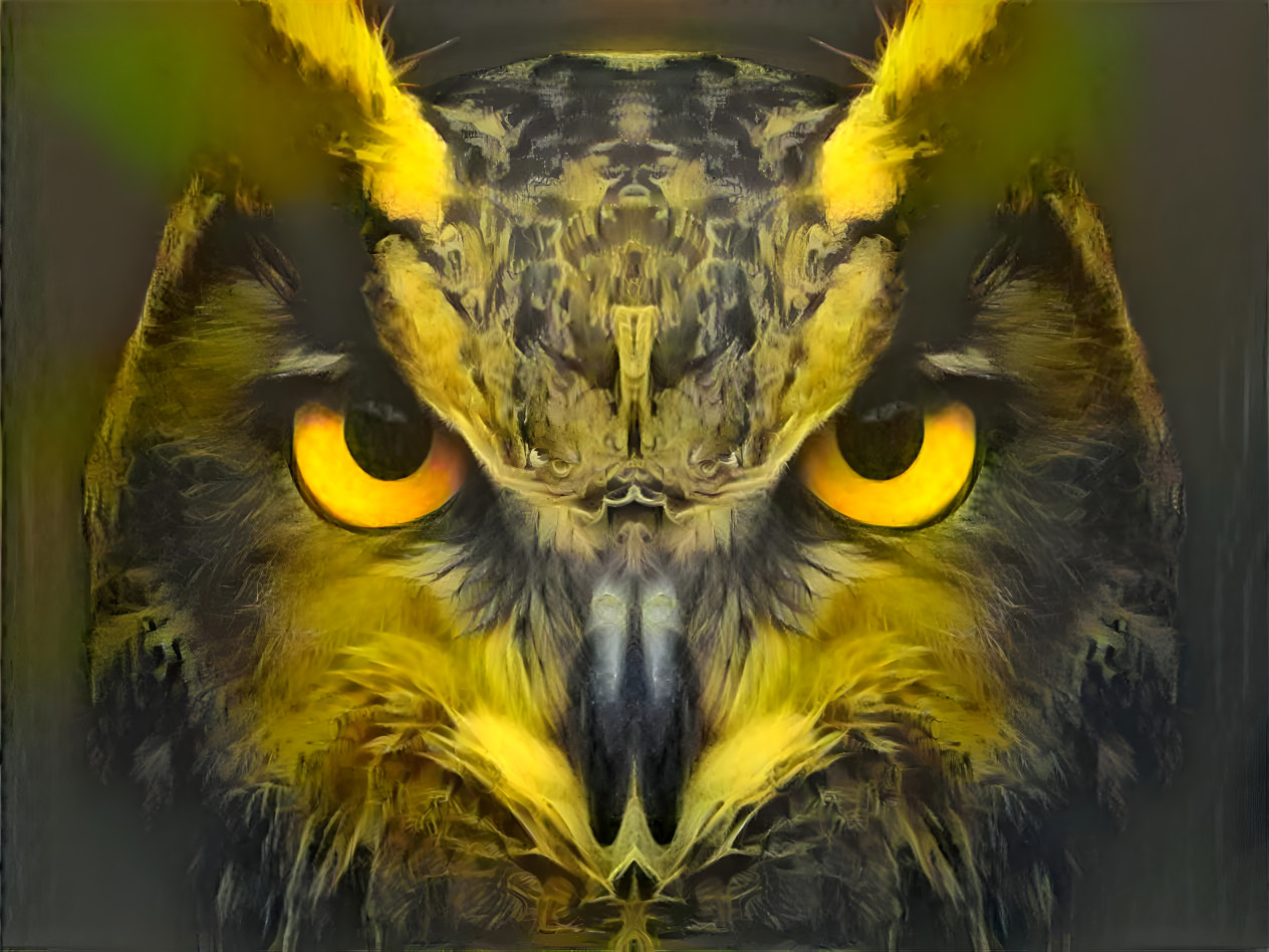 owl