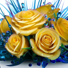 Creamy Yellow Roses with Blue Crystals on White Background