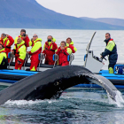 Tourists watching whale breach in polar seascape