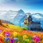 Scenic Swiss chalet amidst wildflowers and Alps.