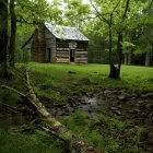 Tranquil forest scene with wooden cabin, woodpeckers, flowers, butterflies, and sun