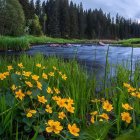 Church by river with wildflowers, boats, and twilight sky