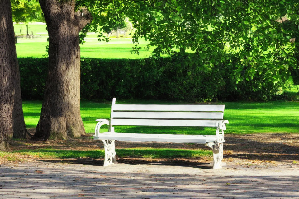 Tranquil park scene: white wooden bench under leafy trees