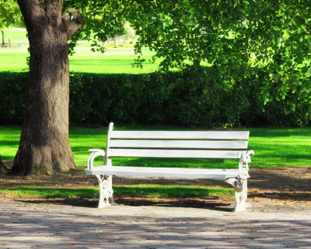 Tranquil park scene: white wooden bench under leafy trees