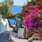 Coastal scene with white walls, pink bougainvillea, terracotta pots, blue