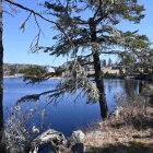 Tranquil landscape: wooden cabin near calm lake, forest, clear blue sky