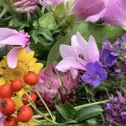 Colorful Flower Arrangement with Pink Roses, Yellow Blooms, and Purple Petals