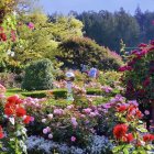 Thatched roof cottages with lush gardens and flower-filled carts