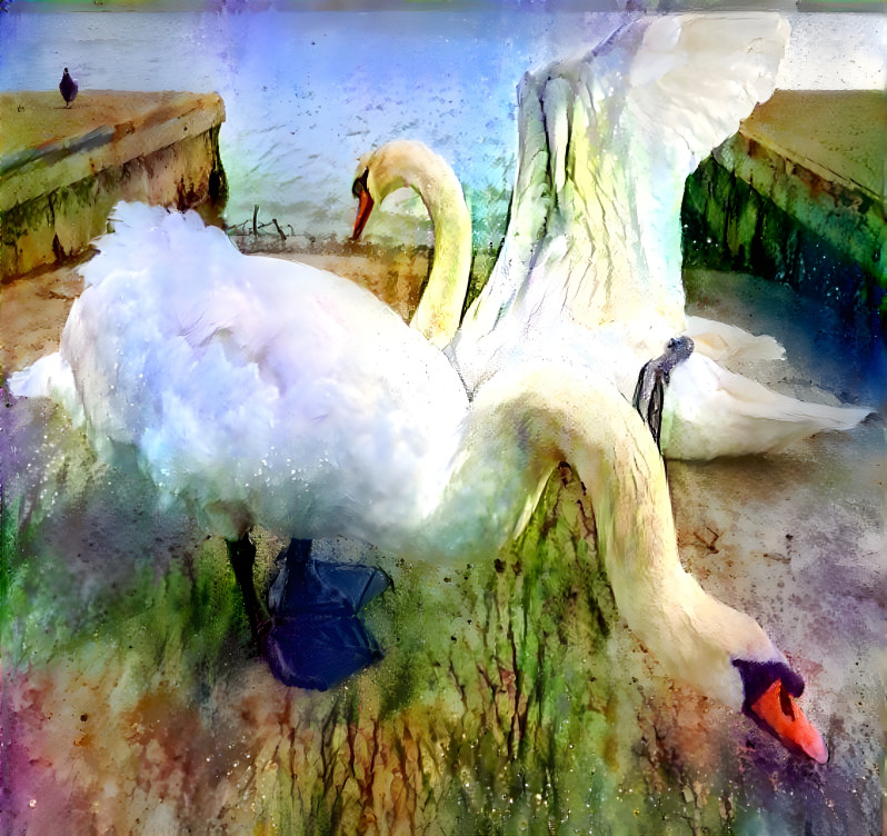 The Two Swans