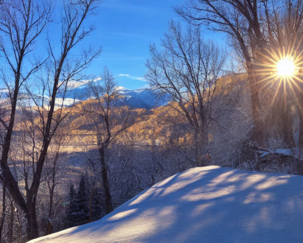 Winter scene: Sunburst, bare trees, snow-covered hills, clear blue sky