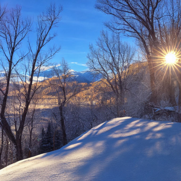 Winter scene: Sunburst, bare trees, snow-covered hills, clear blue sky