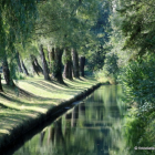 Tranquil riverside painting with lush green trees and soft sky