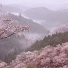 Serene Impressionist Riverscape with Trees and Pastel Sky