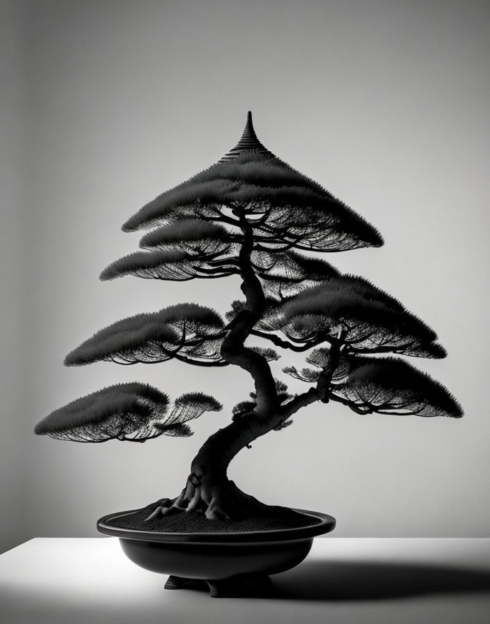 Monochrome image of elegantly shaped bonsai tree in shallow pot