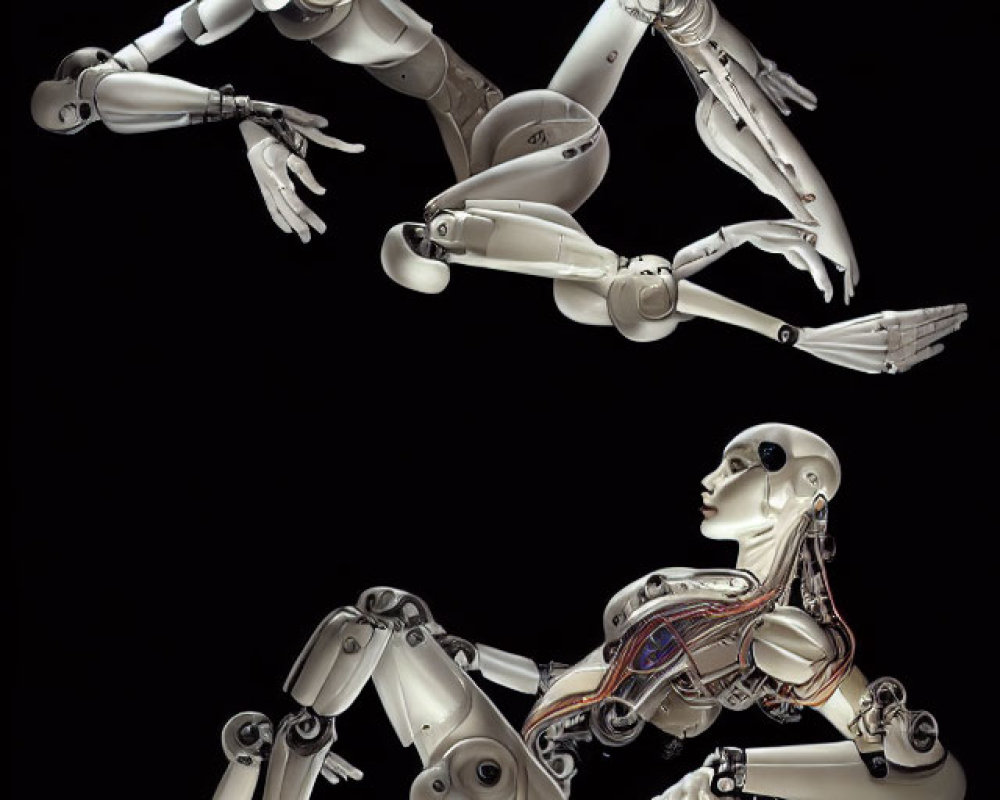 Highly detailed humanoid robots with exposed internal mechanisms on black background