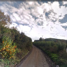 Scenic winding road through vibrant autumn forest landscape