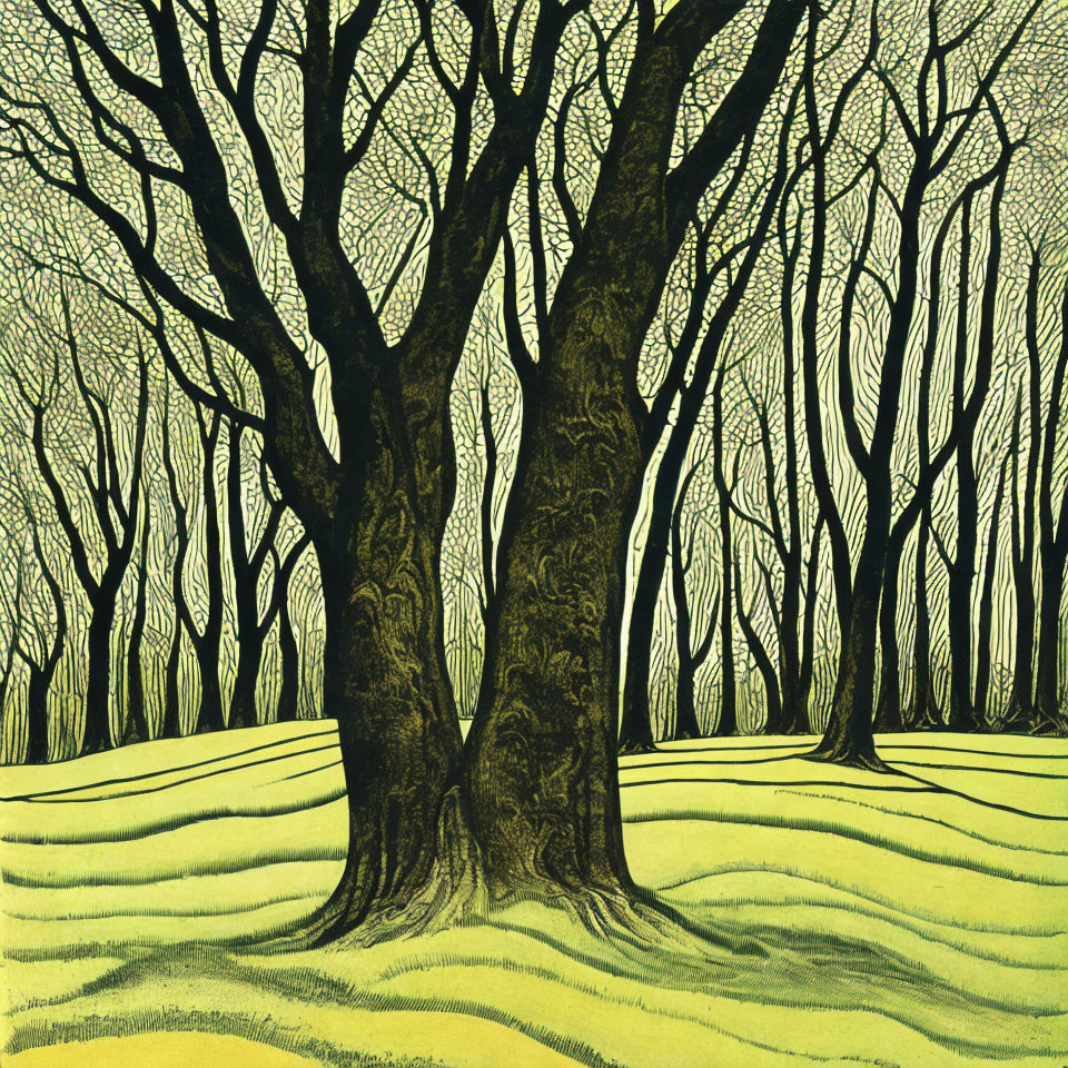  Illustration for Le Page's 'Gil Blas'a , the tree