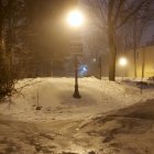 Tranquil dusk scene: foggy park with glowing streetlamps, trees, and greenery