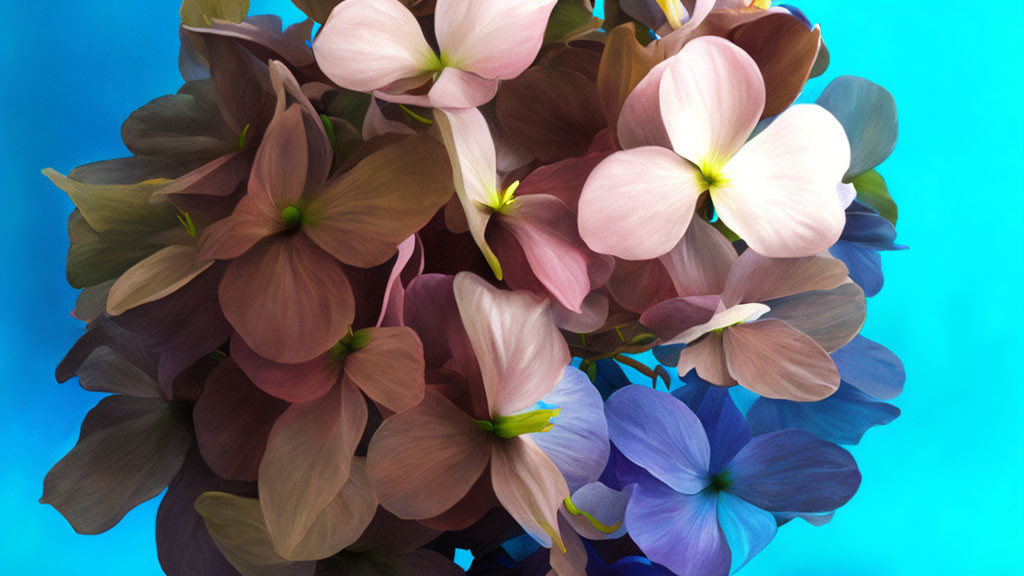 Colorful Pink, Purple, and Blue Flower Bouquet on Blue Background