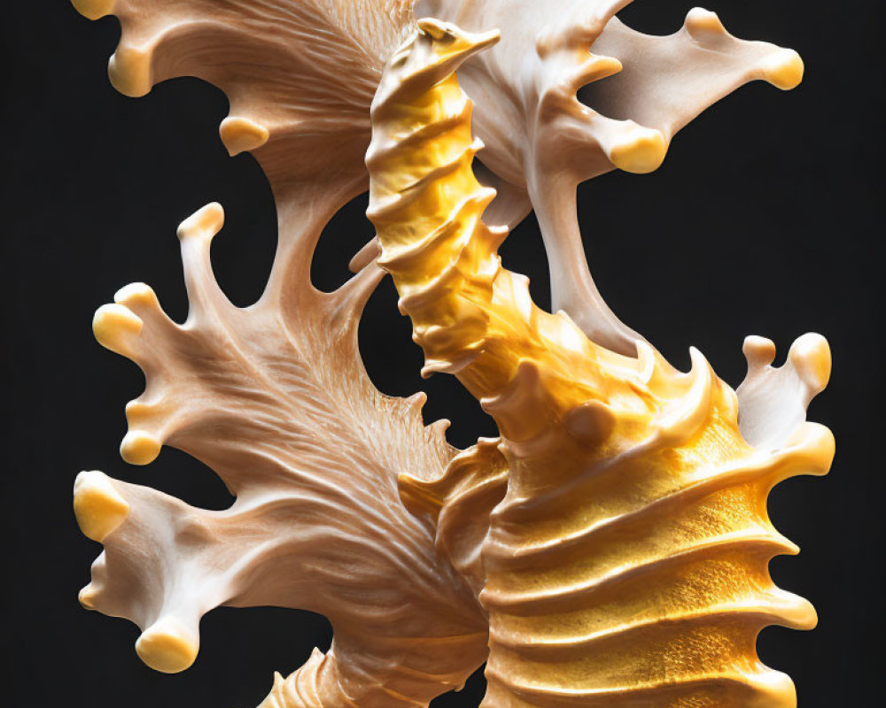 Detailed seahorse sculpture with stylized seaweed in cream to golden gradient