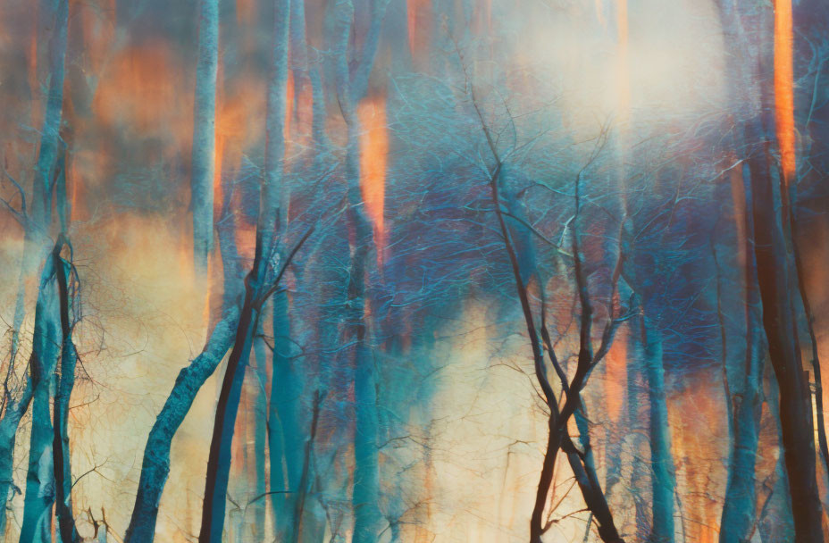 Abstract Forest Scene with Sunlight and Colorful Tree Trunks