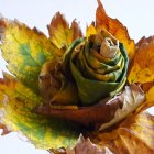 Mechanical Parrot on Golden Sunflower Petals in Cloudy Sky