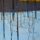 Snowy forest landscape with slender trees and orange leaves at sunset