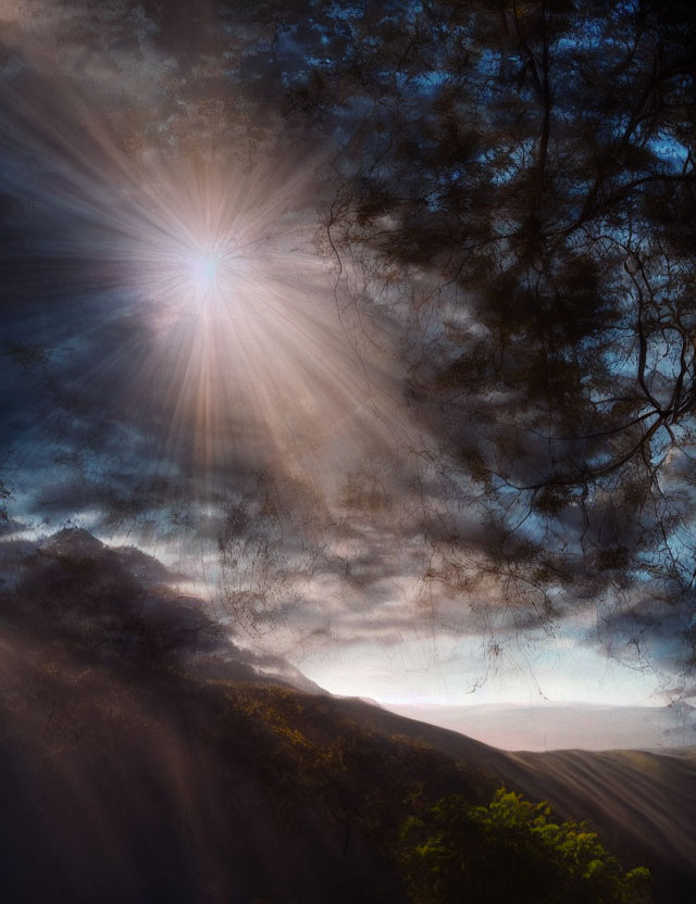 Sun beams through mist and tree branches on mountain landscape