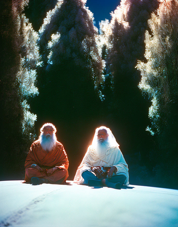 Two bearded men meditating in traditional robes on snowy ground at night.