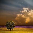 Impressive supercell thunderstorm over serene landscape