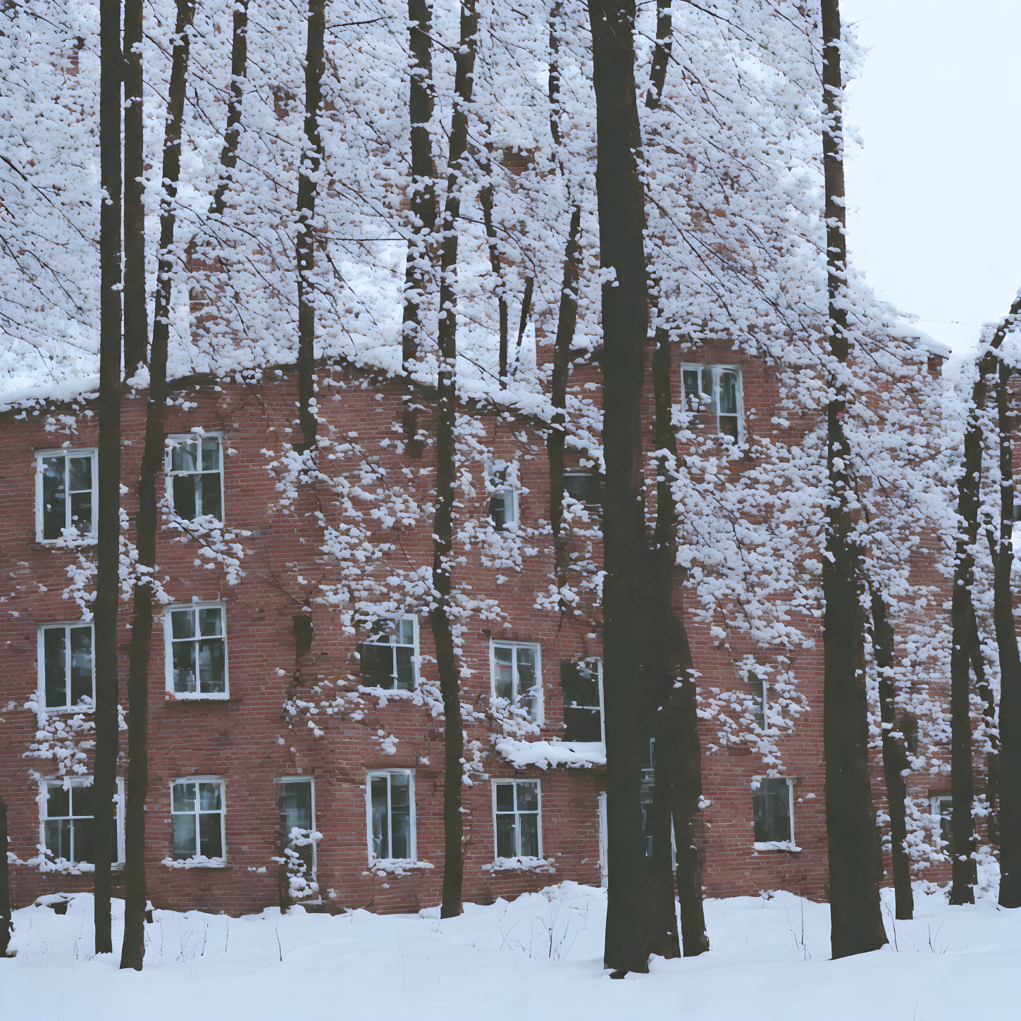 Snow-covered red-brick building and trees in serene winter scene