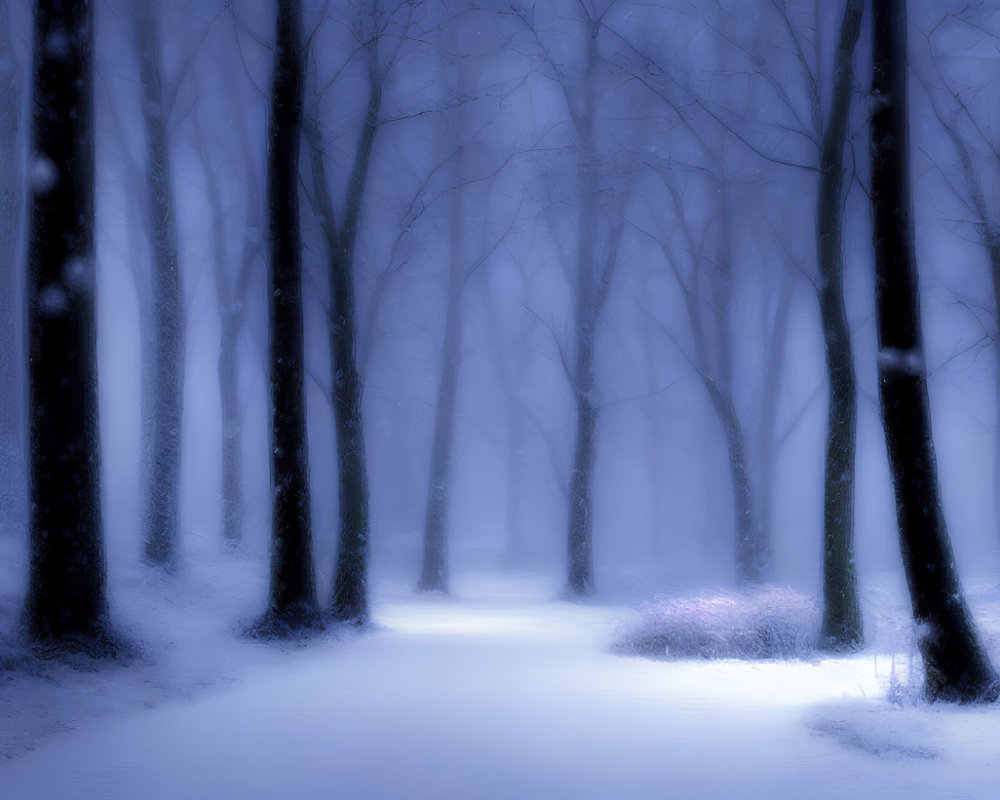 Snowy forest with illuminated pathway in misty ambiance