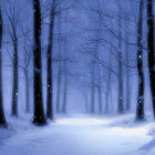 Snowy forest with illuminated pathway in misty ambiance