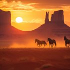 Ornately dressed riders on horses in desert sunset