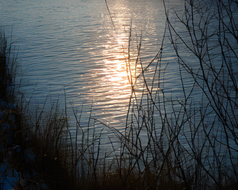 Tranquil sunset over river with silhouetted grass and trees