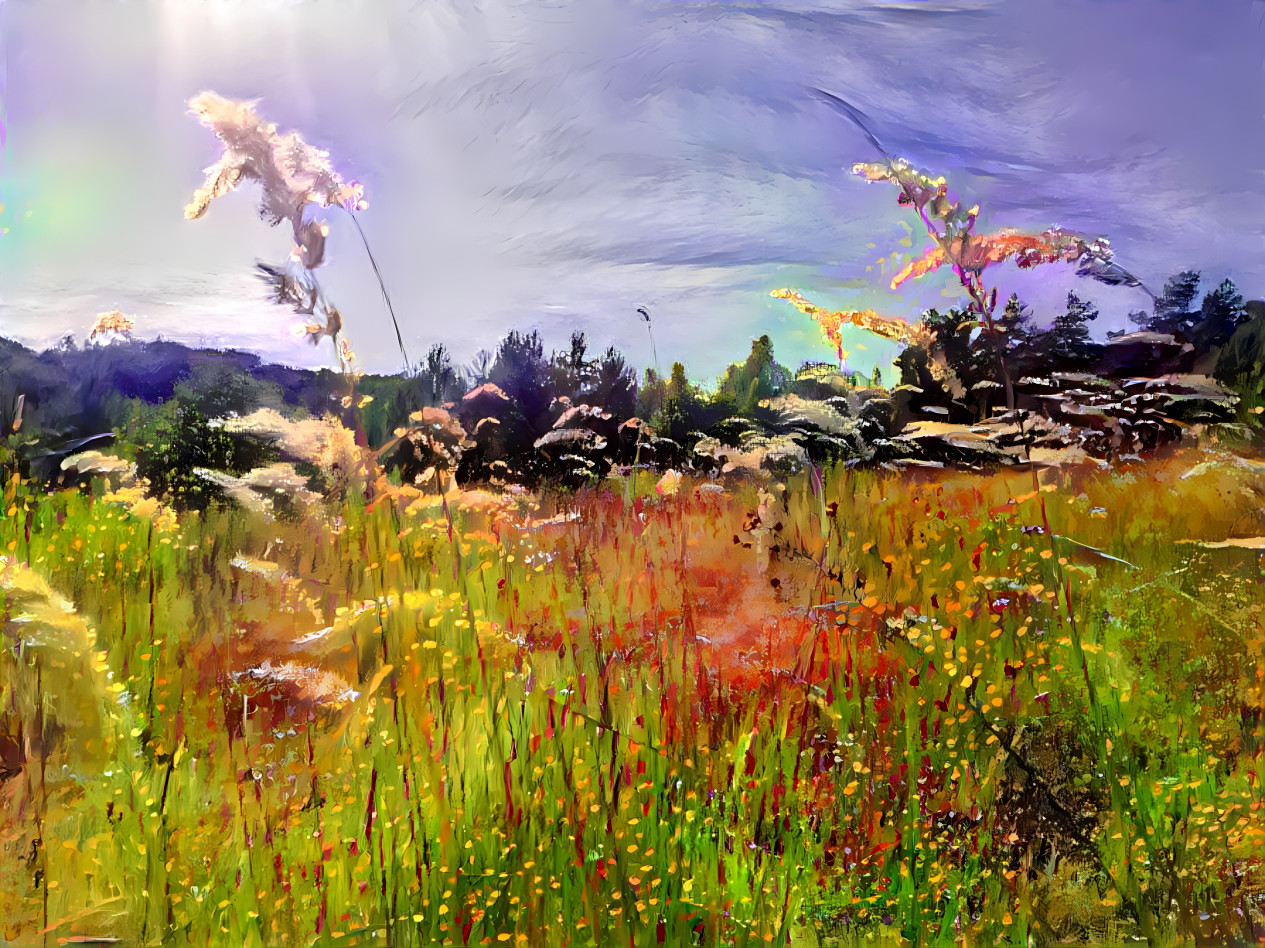 05 Sep 2022 - A windy meadow