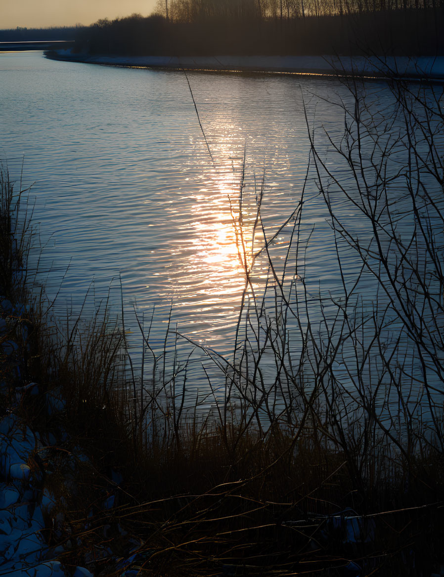 Tranquil sunset over river with silhouetted grass and trees