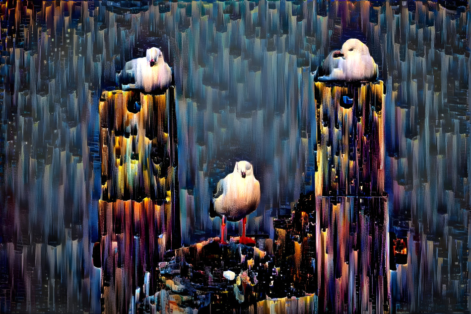 Seagulls 