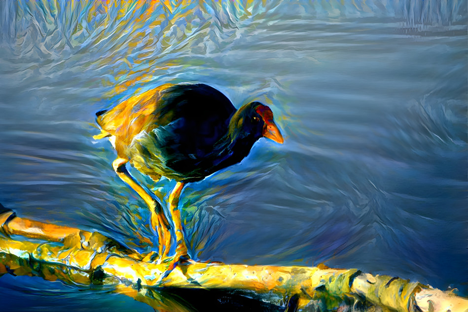 Pukeko