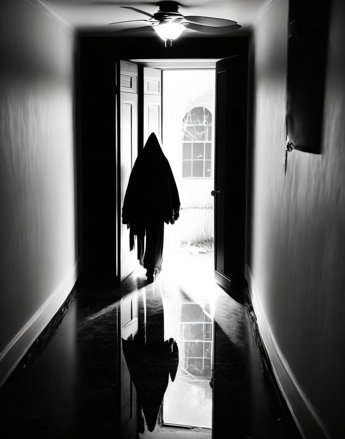 Silhouetted figure in doorway with streaming light on glossy floor