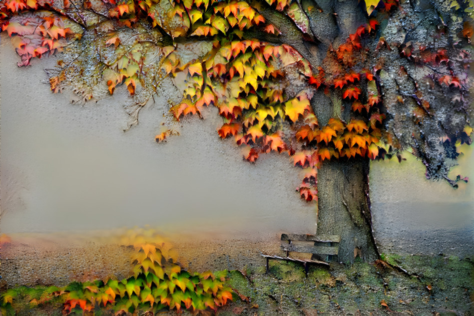 Autumn Tree