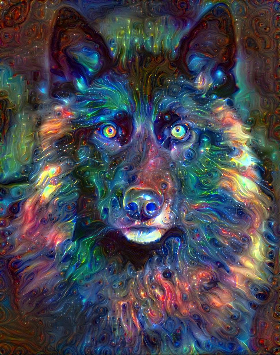 Cosmic Canine