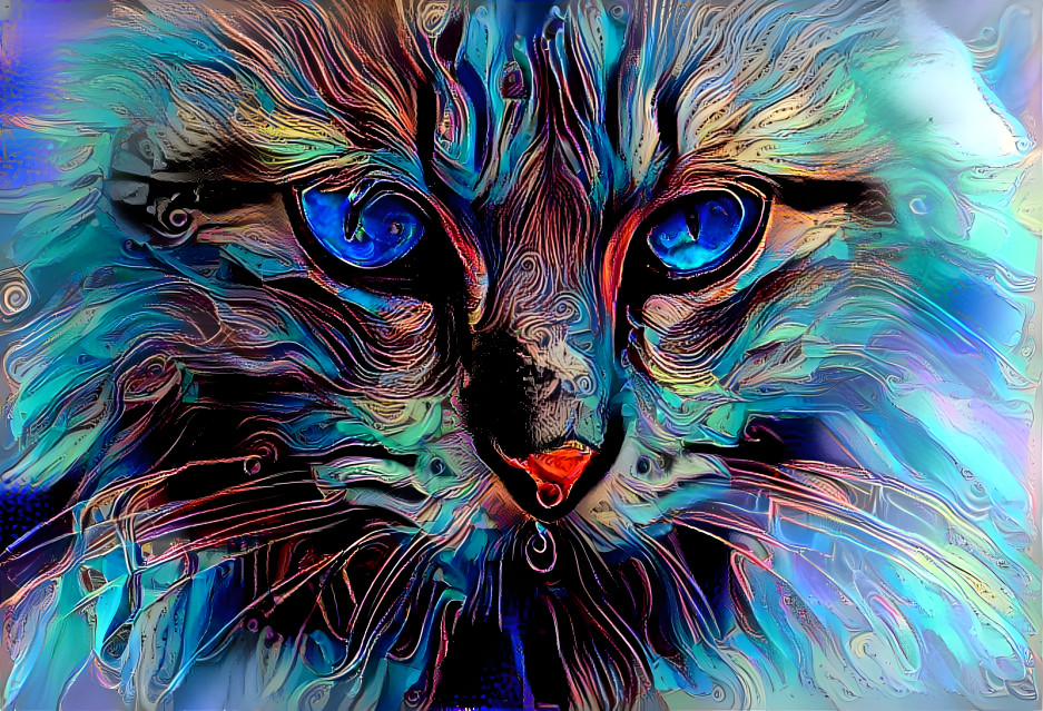 Blue Kitty