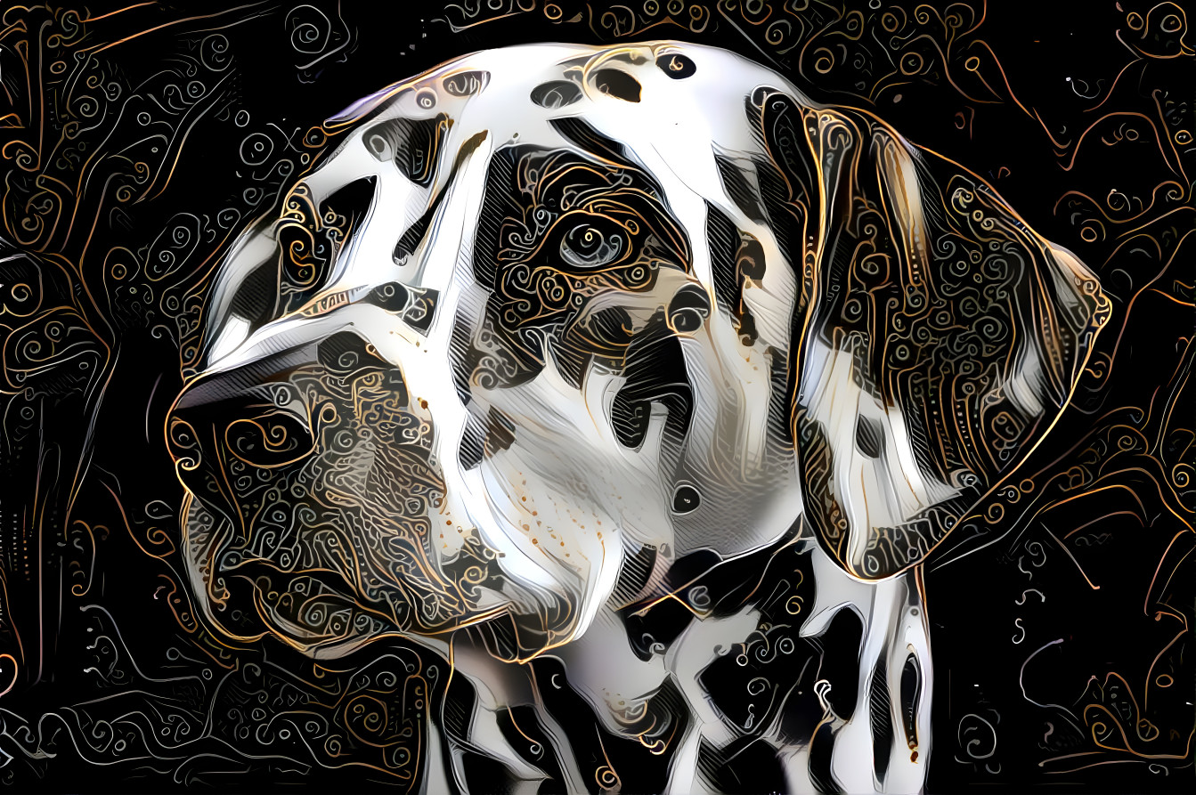 Dalmation